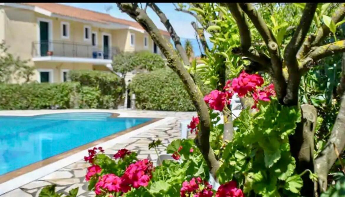 Lemon Tree Apartments A D Argostoli  Exterior foto